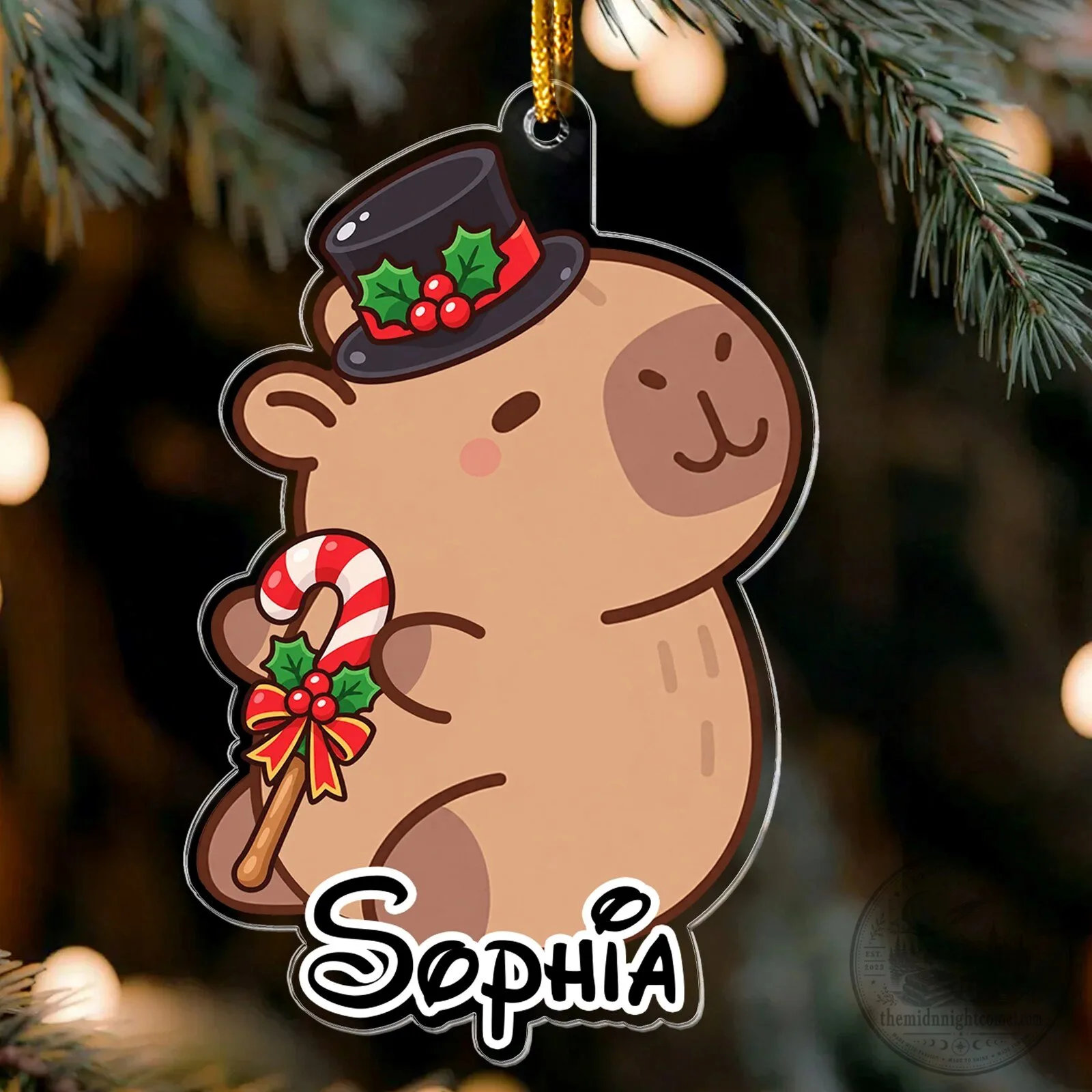 Personalized Capybara Christmas Ornament for Capybara Lovers Holiday Decor 6 Personalized Capybara Christmas Ornament for Capybara Lovers Holiday Decor